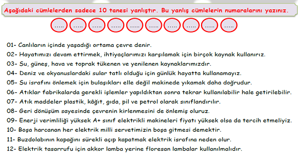 4. Sınıf Fen Bilimleri İnsan ve Çevre Ünitesi Doğru-Yanlış Etkinliği