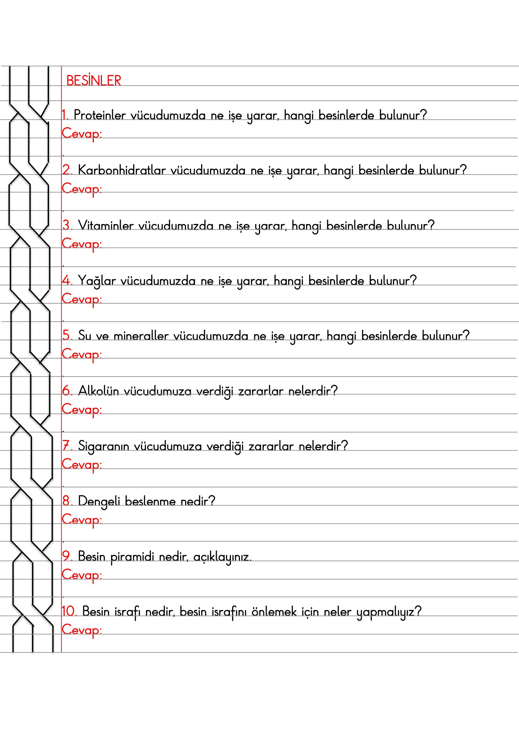 4. Sınıf - Fen Bilimleri Besinler Açık Uçlu Sorular