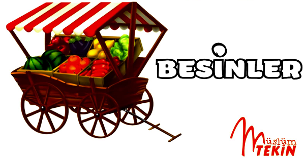 4. Sınıf Fen Bilimleri Besinlerimiz Konu Özeti Etkinlikler ve Değerlendirme Testi