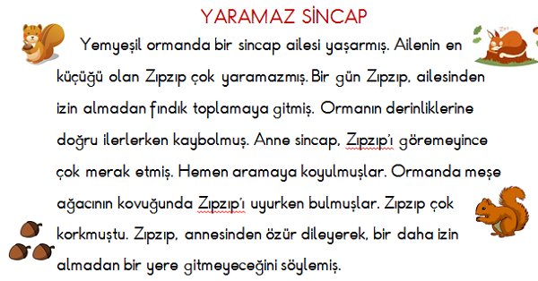1. Sınıf Türkçe Yaramaz Sincap Okuma ve Anlama Etkinliği