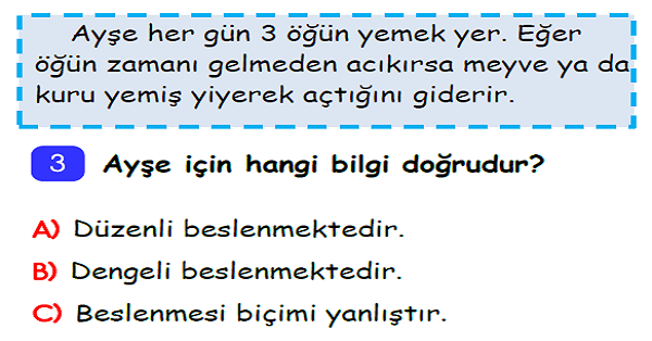 3. Sınıf Hayat Bilgisi Sağlıklı Hayat Ünite Değerlendirmesi-3