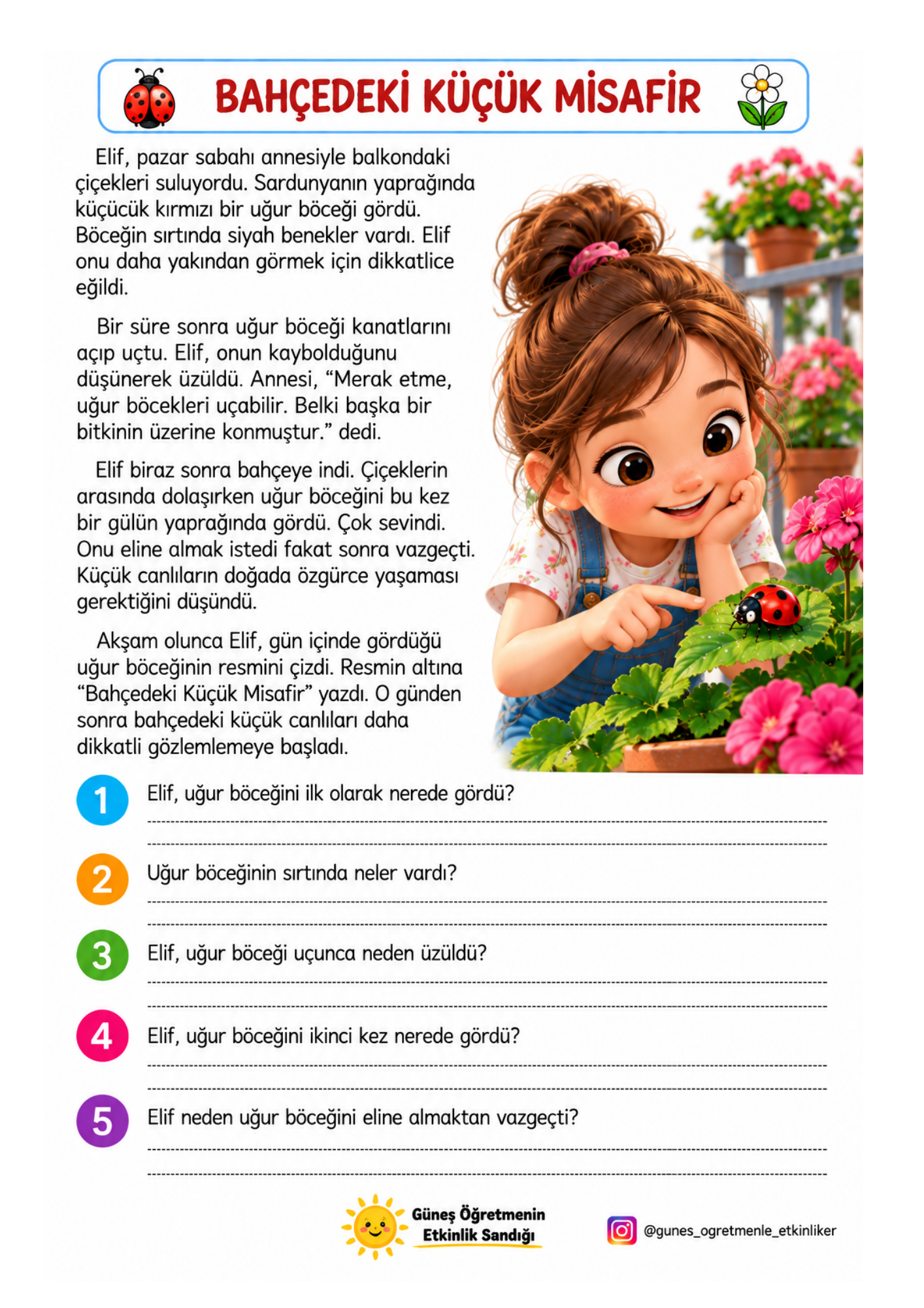 2. Sınıf Türkçe Okuma Anlama Metinleri