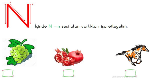 1. Sınıf İlk Okuma Yazma N-n Sesi Fasikülü