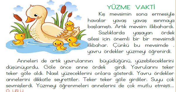 1. Sınıf Türkçe Okuyalım-Anlayalım-Cevaplayalım (Yüzme Vakti) Metni