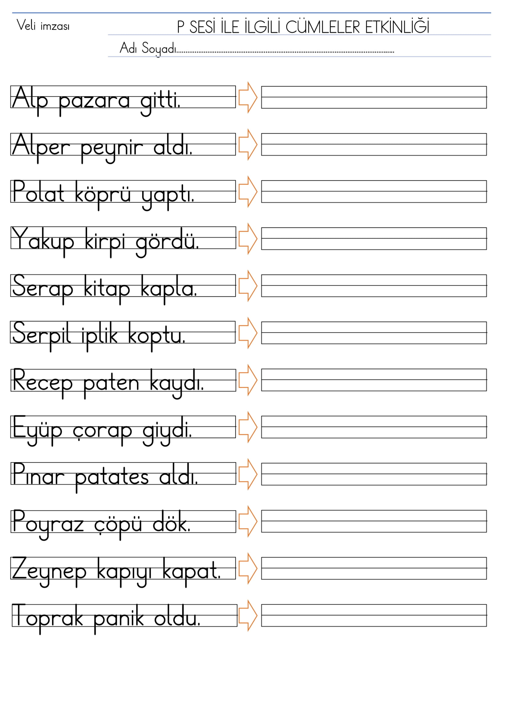 1. Sınıf İlk Okuma Yazma P Sesi Cümleler Etkinliği