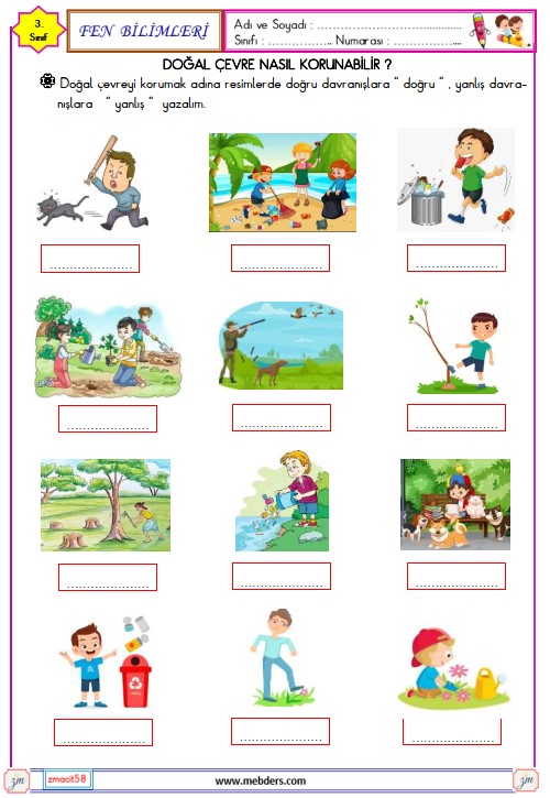 3. Sınıf Fen Bilimleri Doğal Çevre Nasıl Korunabilir Etkinliği