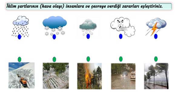2. Sınıf Hayat Bilgisi Çevre Şartları Etkinliği