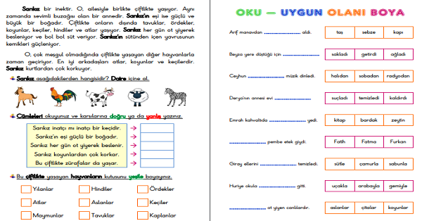 1. Sınıf Türkçe Oku-Anla-Boya-Yaz Etkinliği - 3
