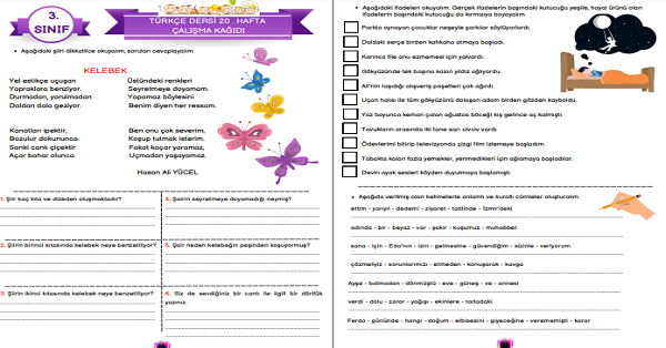3. Sınıf Türkçe Hayali ve Gerçek Unsurlar Çalışma Kağıdı + Okuduğunu Anlama Metni