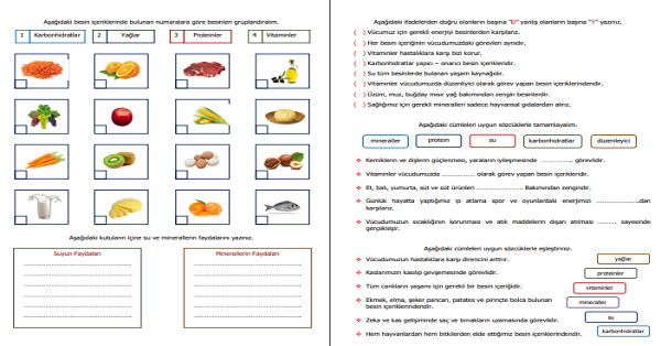 4. Sınıf Fen Bilimleri Besinler ve Özellikleri Etkinliği 1