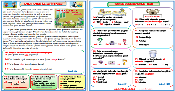 1. Sınıf Türkçe Tarla Faresi ile Şehir Faresi Değerlendirme Çalışması 11