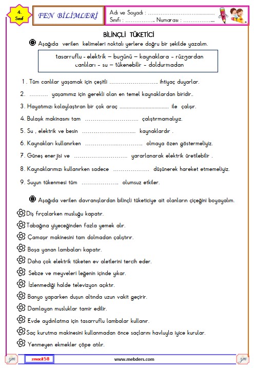 4. Sınıf Fen Bilimleri Bilinçli Tüketici Etkinliği 5