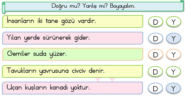 1. Sınıf Türkçe Okuma Anlama Çalışmaları (Doğru-Yanlış)-2