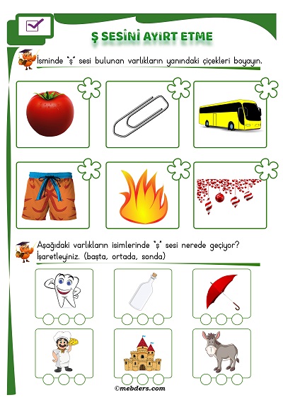 1. Sınıf İlkokuma Ş Sesi Ayırt Etme Etkinliği