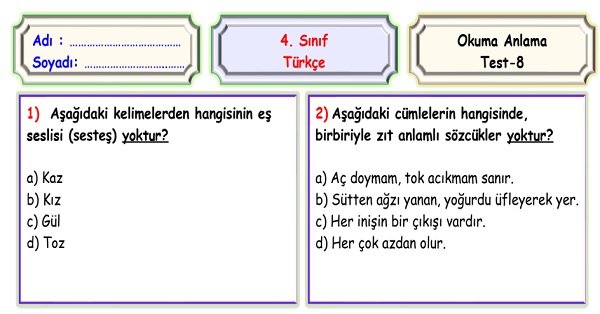 4. Sınıf Türkçe Okuma Anlama Sene Sonu Değerlendirme Testi 8