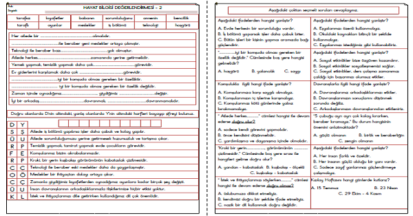 3. Sınıf Hayat Bilgisi Değerlendirmesi-2
