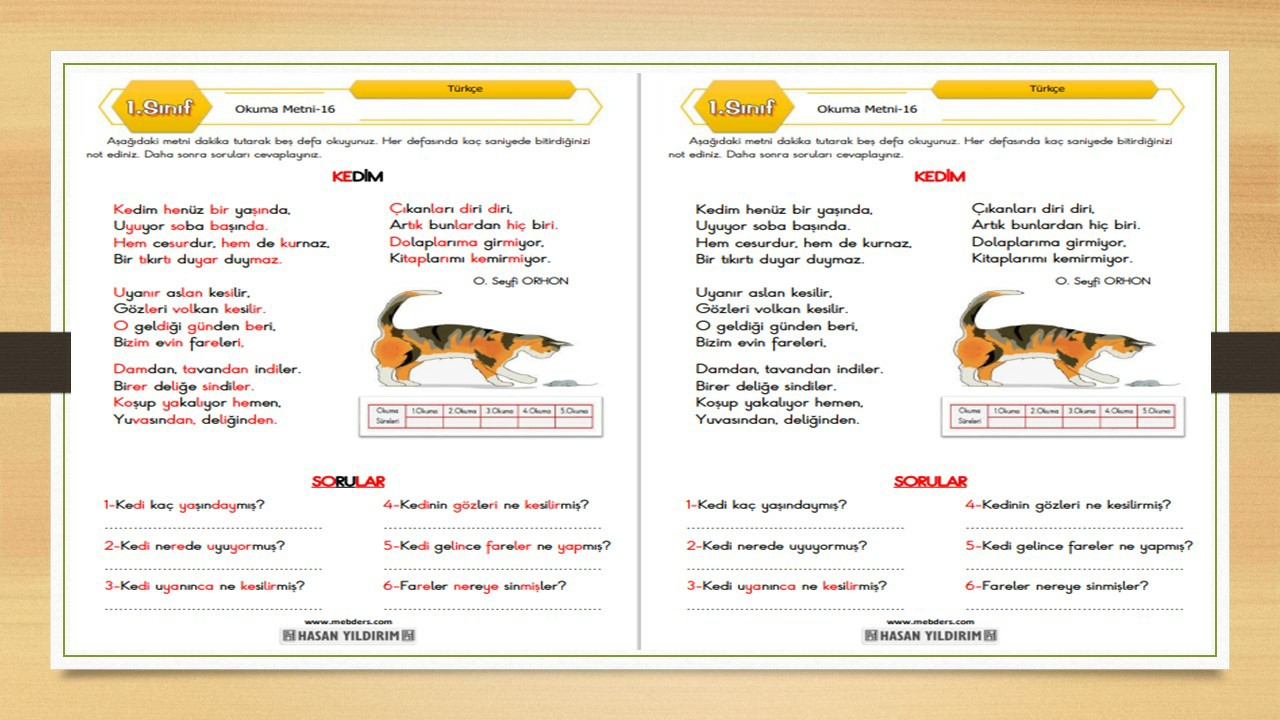 1. Sınıf Türkçe Okuma Metni-16 (Kedim)