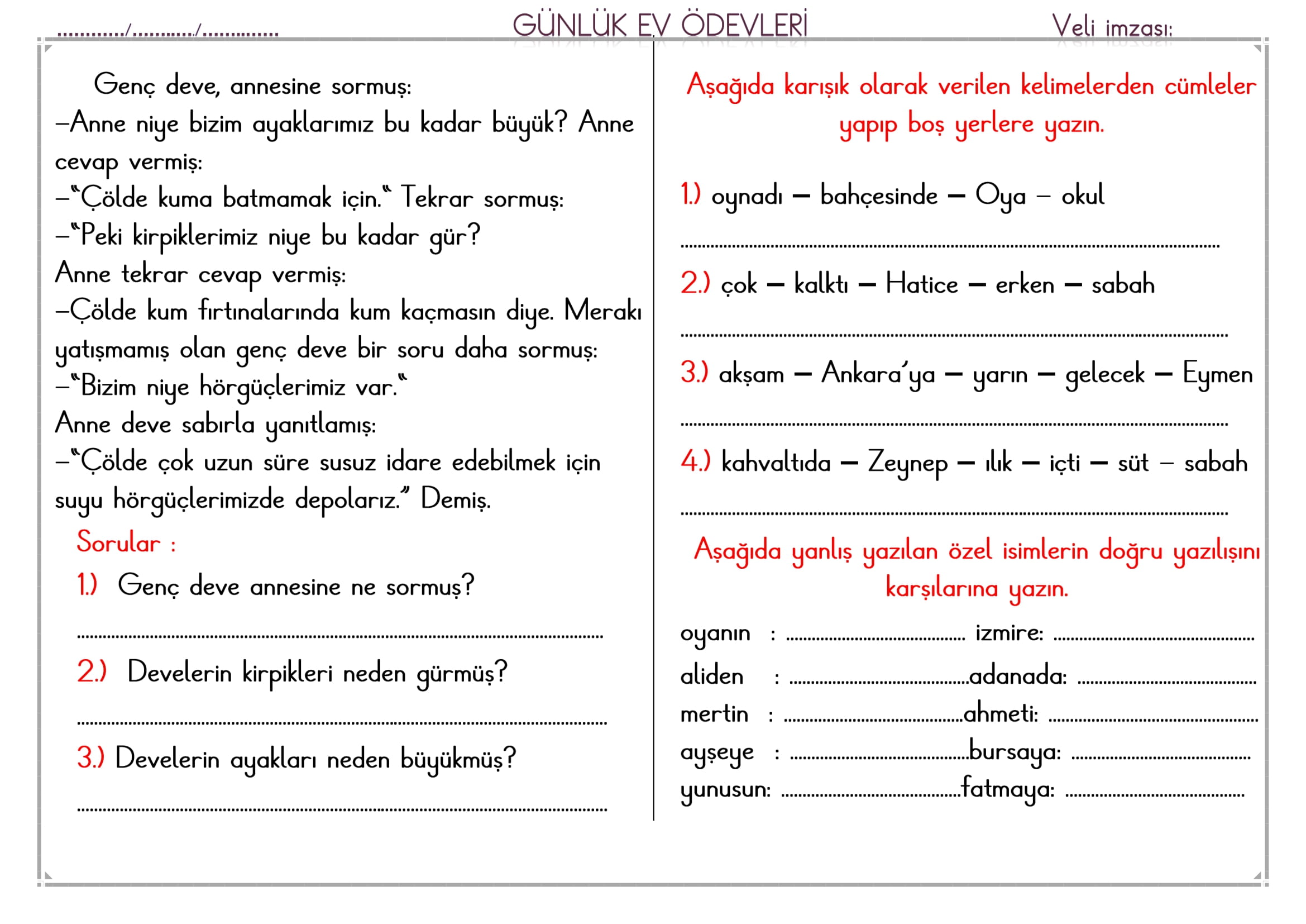 1. Sınıf 04 Şubat 2025 Günlük Ev Ödevi