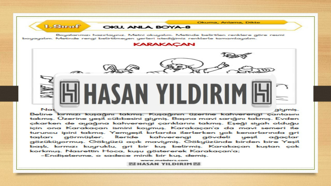 1. Sınıf Türkçe Oku, Anla, Boya-8