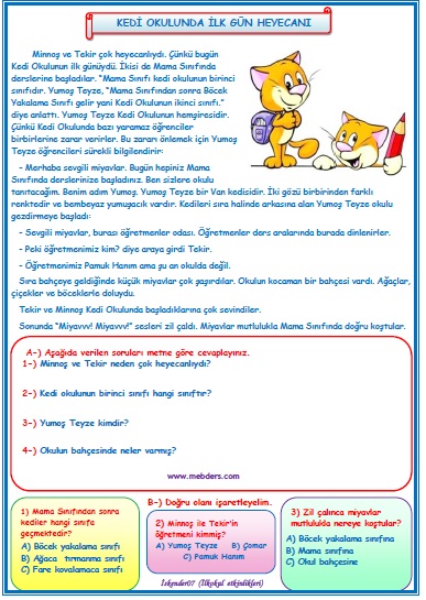 2. Sınıf Türkçe Kedi Okulunda İlk Gün Heyecanı Okuma Anlama Metin Çalışması 2