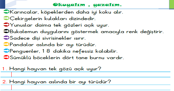 1. Sınıf Türkçe Okuyalım-Anlayalım-Yazalım Etkinliği