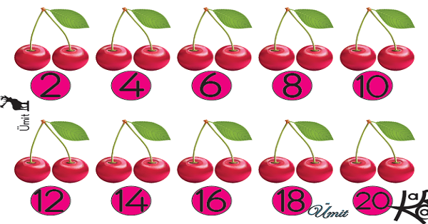 2. Sınıf Matematik Ritmik Saymalar Defter Çalışması