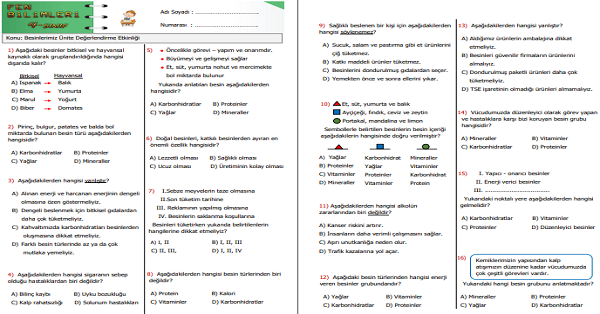 4. Sınıf Fen Bilimleri Besinlerimiz Ünite Değerlendirme Etkinliği 2