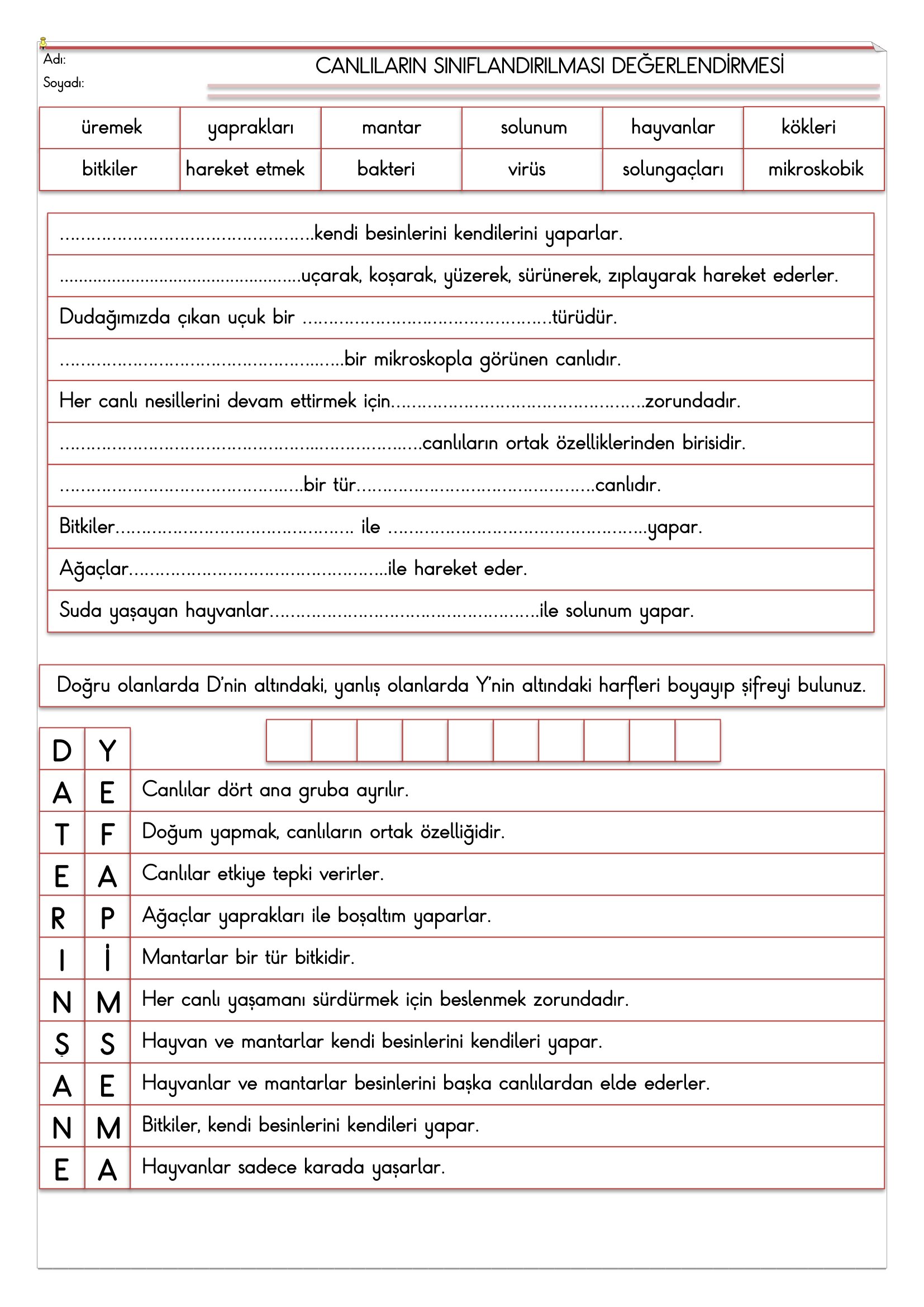 3.Sınıf Fen Bilimleri Canlıların Sınıflandırılması Değerlendirme