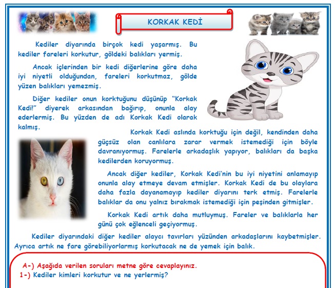 2. Sınıf Türkçe Korkak Kedi Okuma Anlama Metin Çalışması