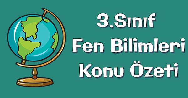 3. Sınıf Fen Bilimleri Sesin İşitmedeki Rolü Konu özeti