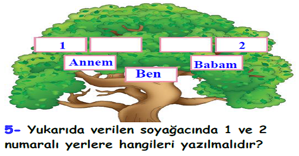 4. Sınıf Sosyal Bilgiler Geçmişimi Öğreniyorum Ünitesi Yaprak Test-1