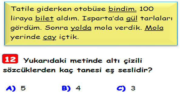 3. Sınıf Türkçe Eş Sesli Kelimeler Yaprak Test