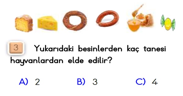 2. Sınıf Hayat Bilgisi Sağlıklı Hayat Ünitesi-Yaprak Test-1