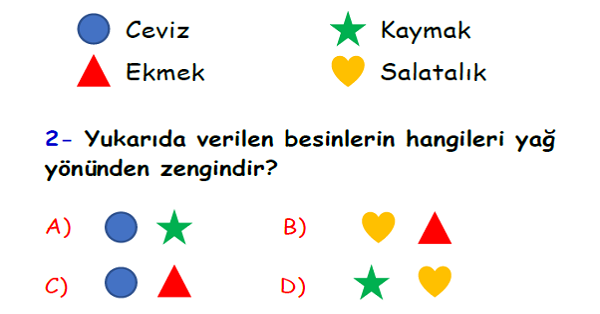 4. Sınıf Fen Bilimleri Besinlerimiz Yaprak Test-5
