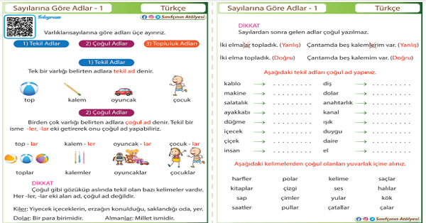 4. Sınıf Türkçe Sayılarına Göre Adlar (Tekil-Çoğul-Topluluk)