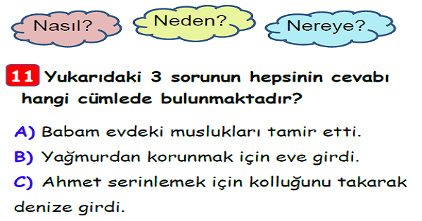 3. Sınıf Türkçe 5N 1K Yaprak Test-1