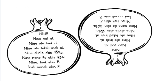 1. Sınıf İlk Okuma Yazma (N-n Sesi) Narlı Okuma Metni