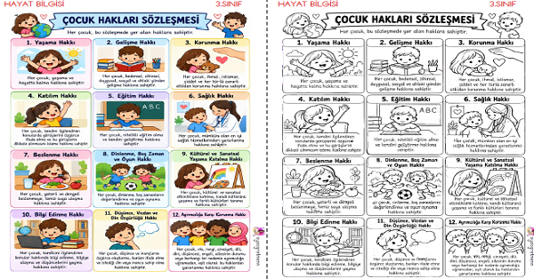 3. Sınıf Hayat Bilgisi Çocuk Hakları Defter Notları ve Kes Yapıştır Etiketleri