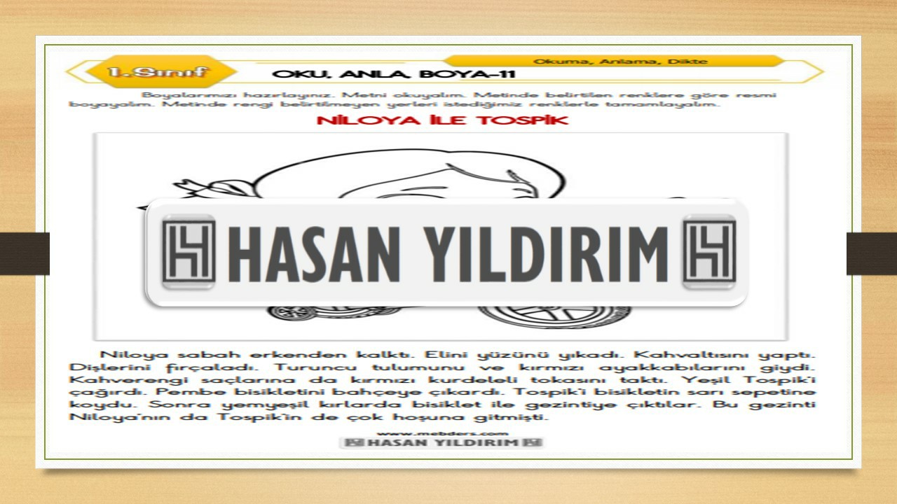 1. Sınıf Türkçe Oku, Anla, Boya-11