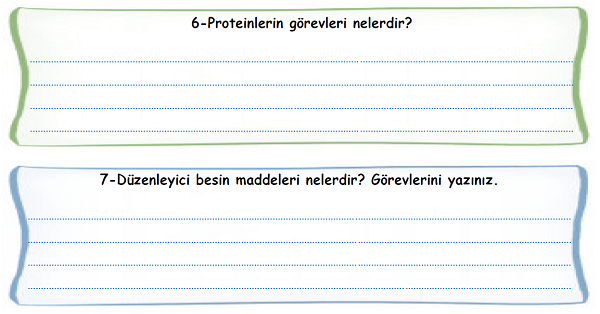 4. Sınıf Fen Bilimleri Besinlerimiz Soru-Cevap Etkinliği