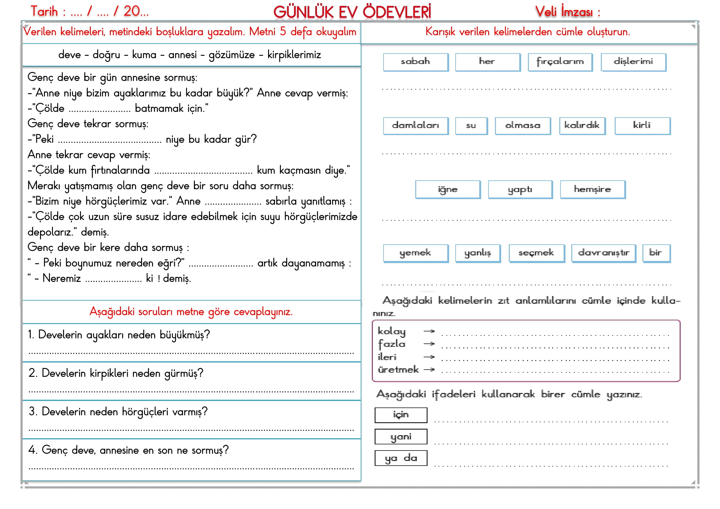 2. Sınıf 04 Aralık 2024 Günlük Ev Ödevi