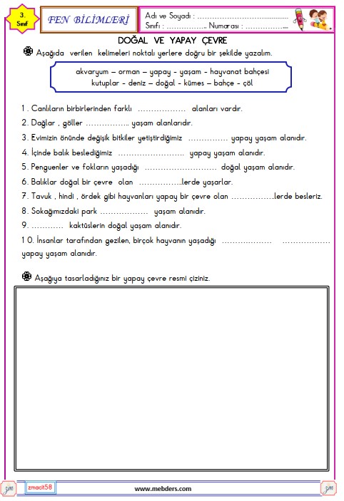 3. Sınıf Fen Bilimleri Doğal ve Yapay Çevre Etkinliği 6