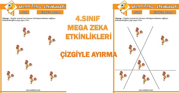 4. Sınıf Mega Zeka Etkinliği - Çizgiyle Ayırma