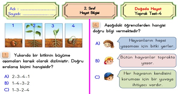 2. Sınıf Hayat Bilgisi Doğada Hayat-Yaprak Test-4