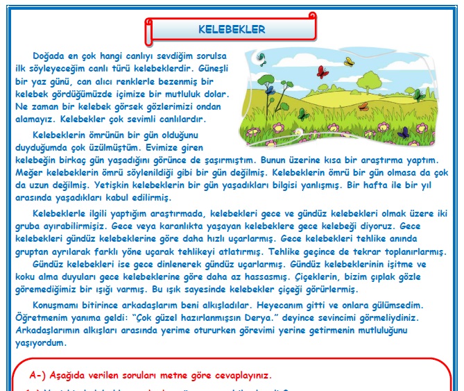 2. Sınıf Türkçe Kelebekler Okuma Anlama Metin Çalışması