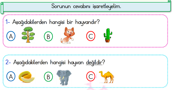 1. Sınıf Türkçe Okuma Anlama (Test) Etkinliği-2