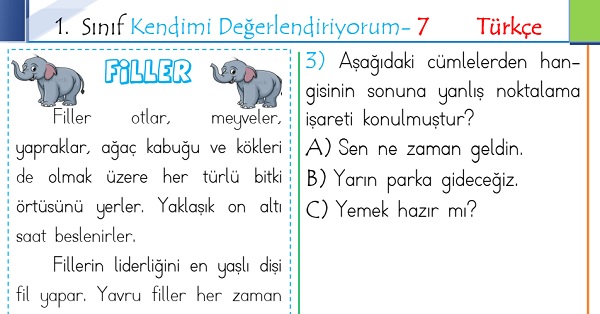 1. Sınıf Genel Değerlendirme 7