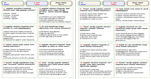 4. Sınıf Türkçe Okuma Anlama Sene Sonu Değerlendirme Testi 4