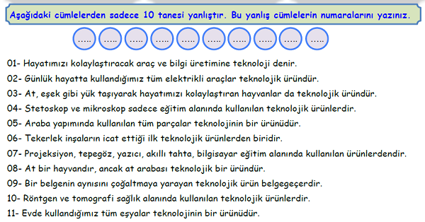 4. Sınıf Sosyal Bilgiler İyi ki Var Ünitesi Doğru-Yanlış Etkinliği