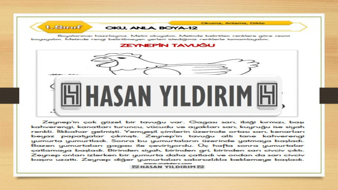 1. Sınıf Türkçe Oku, Anla, Boya-12